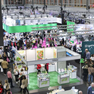 sigvardsson_221117_0327_JPG Small (960w)